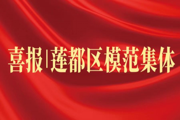 喜報丨浙江中立建設(shè)榮獲蓮都區(qū)“模范集體”稱號！